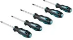 Makita Schraubendreher-Set Torx magnetisch 5-teilig - E-10534