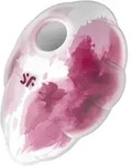 Satisfyer Cloud Dancer Druckwellenvibrator - Red