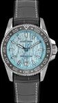 Liverpool Diver 1-2205F