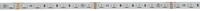 EUROLITE LED Strip 300 5m 5050 RGB 24V