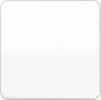 Jung CD1700WW, Jung Steuertaste Standard CD 1700 WW