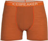 Icebreaker Merino Anatomica Boxershorts - Mann - Spice/mink Stripe - Größe S