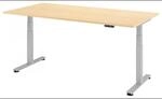 XDSM 2E S | Schreibtisch 200 x 100 elektrisch h&ouml;henverstellbar Ahorn