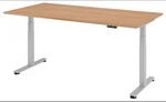 XDSM 2E S | Schreibtisch 200 x 100 elektrisch h&ouml;henverstellbar Nussbaum