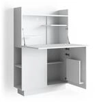 Vicco Schreibtisch-Schrank Alena B&uuml;roschrank Aktenschrank Computertisch Sekret&auml;r