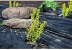 Aquagart 75m x 1m Unkrautvlies UV-Stabil mit 2 Oberfl&auml;chen Gartenvlies Mulchvlies