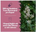 EXVital&reg; Resveratrol Kapseln, hochdosiert, 120 Kapseln