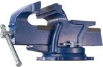 tectake&reg; Schraubstock, aus Gusseisen, 360&deg; drehbar, 2 Arretierungsschrauben, 3