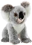 BEDROHTE TIERE Koala B&auml;r