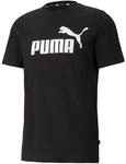 ESS LOGO TEE Herren T-Shirt