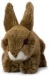 WWF - Pl&uuml;schtier - Feldhase (19cm, liegend) Hase lebensecht Kuscheltier Stofftier