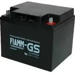 Fiamm FG24204 12V 42Ah Blei Akku / Blei Akku / AGM Blei Vlies VdS