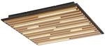 Paul Neuhaus LED-Wand- u.Deckenleuchte 1flg