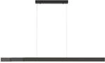 Paul Neuhaus LED-Pendelleuchte 6flg