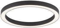 Paul Neuhaus LED-Deckenleuchte 1flg