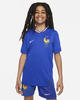 Nike FJ1583-452, Nike Frankreich 2024 Heim Teamtrikot Kinder in bright