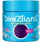 La rich'e Directions Haart&ouml;nung Violet 100 ml