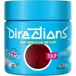 La rich'e Directions Haart&ouml;nung Tulip 100 ml