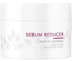 Charlotte Meentzen Sebum Reducer Kaolin-Packung 50 ml