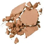 11g SENSAI CELLULAR PERFORMANCE Total Finish Foundation