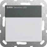 Gira Sensotec LED, mit Fernbedienung (anthrazit)