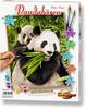 Pandabären Malen nach Zahlen