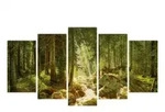 Unser Wald Malen nach Zahlen