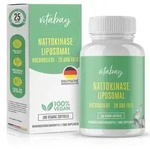 Vitabay Nattokinase 100 mg 180 St