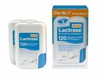 Lactrase 6.000 FCC Tabletten im Klickspender Doppelpack 2x120 Stück