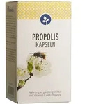 Propolis Kapseln 450 mg 60 St