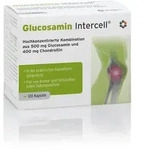 Glucosamin Intercell Kapseln 120 St