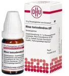 Rhus toxicodendron D30 Globuli 10 g