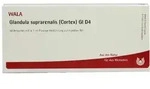 Glandula Suprarenalis Cortex GL D 4 Ampu 10X1 ml
