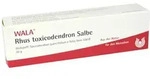 RHUS Toxicodendron Salbe 30 g
