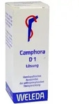 Camphora D 1 Dilution 20 ml
