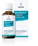 Bryophyllum Argento Cultum D 2 Dilution 50 ml