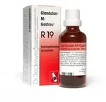 Dr. Reckeweg Glandulae-M-Gastreu R19 50 ml