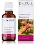 Dr. Koll Gemmo-Mazerat Haselnuss 50 ml
