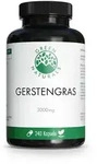 GREEN NATURALS Gerstengras 3000 mg Kapseln vegan 240 St
