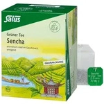 Gr&uuml;ner TEE Bio Salus Filterbeutel Gro&szlig;pa 40 St