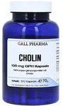 Cholin 100 mg GPH Kapseln 120 St