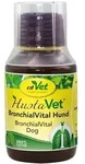 HustaVet Bronchial Vital 100 ml