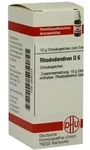 Rhododendron D 6 Globuli 10 g