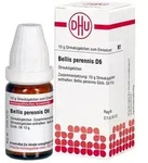 Bellis Perennis D 6 Globuli 10 g