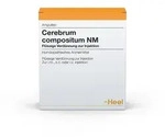 Cerebrum Compositum NM Ampullen 100 St