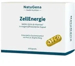 ZellEnergie 60 St