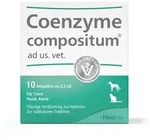 Coenzyme Compositum ad us.vet.Ampullen 10 St