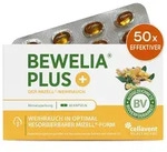 St&auml;rkste Mizell Weihrauchkapseln &ndash; Bewelia&reg; PLUS 60 St