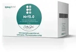 OrthoDoc Nrf2.0 90 St
