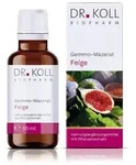 Gemmo Mazerat Feige Dr.Koll Ficus carica Tropfen 50 ml